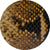 ANIMALIER